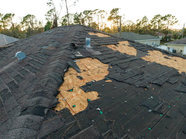  South Gate Ridge, FL Roofing Service Pros